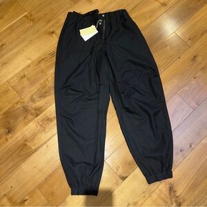 Aritzia Eugene pants- Black